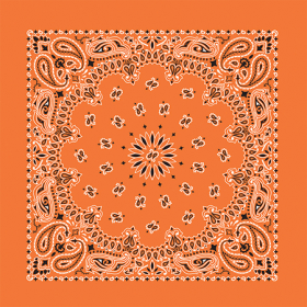 BANDANNA Paisley Orange 12pk 22" x 22"
