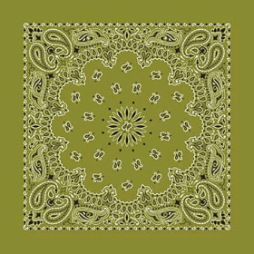 BANDANNA Paisley Olive 12pk 22" x 22"