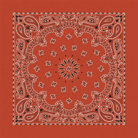 BANDANNA Paisley Terracotta 12pk 22" x 22"