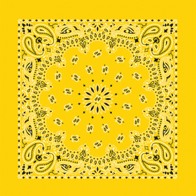 BANDANNA Paisley Lemon 12pk 22" x 22"