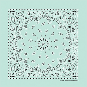 BANDANNA Paisley Mint 22" Square