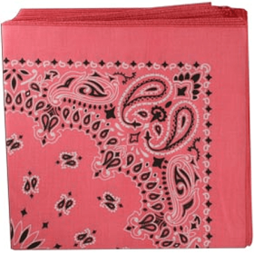 BANDANNA Paisley Strawberry 22" Square
