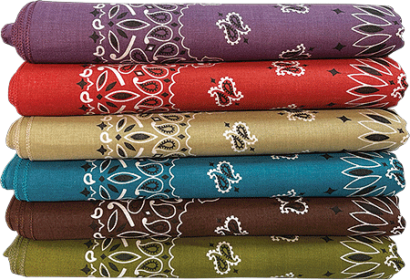 BANDANNA Paisley Asst Earth Tone 22" x 22" square