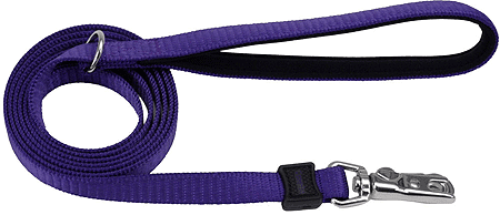 COASTAL Inspire Leash 1" x 6 Purple